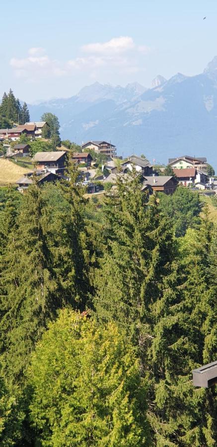 Residence « Les Cretes » Torgon Екстериор снимка